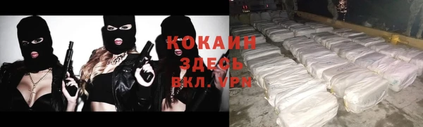альфа пвп Дмитровск